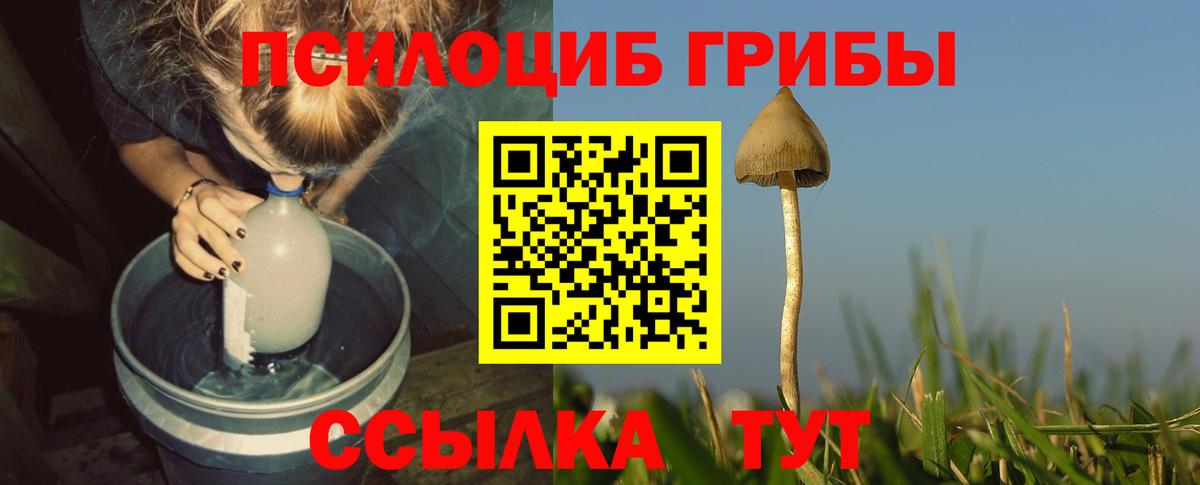 Псилоцибиновые грибы Psilocybe  Псилоцибиновые грибы ЛСД  Вход с VPN  Вольск 